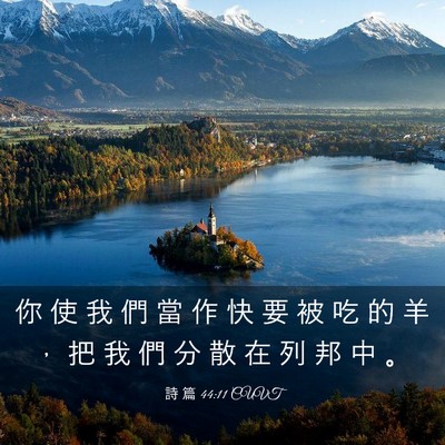 Picture 03 - 詩 篇 44:11 CUVT - 你 使 我 們 當 作 快 要 被 吃 的 羊 - Bible Verse Picture