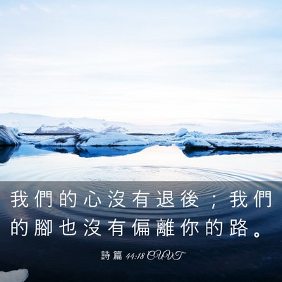 Picture 03 - 詩 篇 44:18 CUVT - 我 們 的 心 沒 有 退 後 ； 我 們 的 - Bible Verse Picture