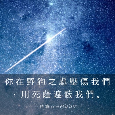 Picture 03 - 詩 篇 44:19 CUVT - 你 在 野 狗 之 處 壓 傷 我 們 ， 用 - Bible Verse Picture