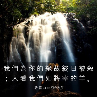 Picture 03 - 詩 篇 44:22 CUVT - 我 們 為 你 的 緣 故 終 日 被 殺 ； - Bible Verse Picture