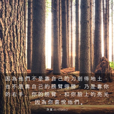 Picture 03 - 詩 篇 44:3 CUVT - 因 為 他 們 不 是 靠 自 己 的 刀 劍 - Bible Verse Picture