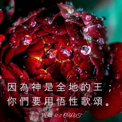 Picture 03 - 詩 篇 47:7 CUVT - 因 為 神 是 全 地 的 王 ； 你 們 要 - Bible Verse Picture