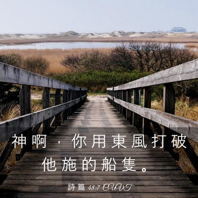 Picture 03 - 詩 篇 48:7 CUVT - 神 啊 ， 你 用 東 風 打 破 他 施 的 - Bible Verse Picture