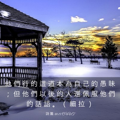 Picture 03 - 詩 篇 49:13 CUVT - 他 們 行 的 這 道 本 為 自 己 的 愚 - Bible Verse Picture