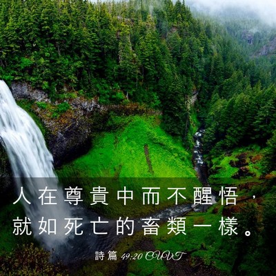 Picture 03 - 詩 篇 49:20 CUVT - 人 在 尊 貴 中 而 不 醒 悟 ， 就 如 - Bible Verse Picture