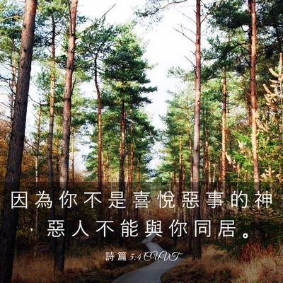 Picture 03 - 詩 篇 5:4 CUVT - 因 為 你 不 是 喜 悅 惡 事 的 神 ， - Bible Verse Picture