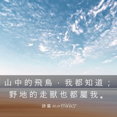 Picture 03 - 詩 篇 50:11 CUVT - 山 中 的 飛 鳥 ， 我 都 知 道 ； 野 - Bible Verse Picture