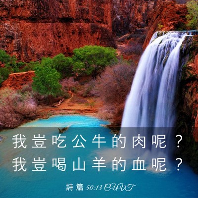 Picture 03 - 詩 篇 50:13 CUVT - 我 豈 吃 公 牛 的 肉 呢 ？ 我 豈 喝 - Bible Verse Picture