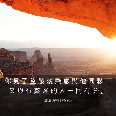 Picture 03 - 詩 篇 50:18 CUVT - 你 見 了 盜 賊 就 樂 意 與 他 同 夥 - Bible Verse Picture