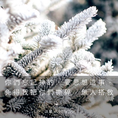 Picture 03 - 詩 篇 50:22 CUVT - 你 們 忘 記 神 的 ， 要 思 想 這 事 - Bible Verse Picture