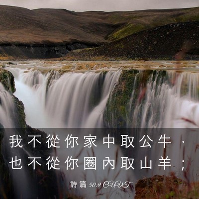 Picture 03 - 詩 篇 50:9 CUVT - 我 不 從 你 家 中 取 公 牛 ， 也 不 - Bible Verse Picture