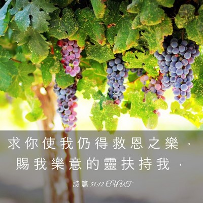 Picture 03 - 詩 篇 51:12 CUVT - 求 你 使 我 仍 得 救 恩 之 樂 ， 賜 - Bible Verse Picture