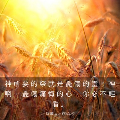 Picture 03 - 詩 篇 51:17 CUVT - 神 所 要 的 祭 就 是 憂 傷 的 靈 ； - Bible Verse Picture
