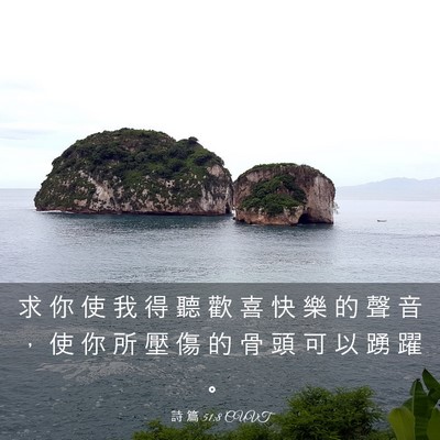Picture 03 - 詩 篇 51:8 CUVT - 求 你 使 我 得 聽 歡 喜 快 樂 的 聲 - Bible Verse Picture