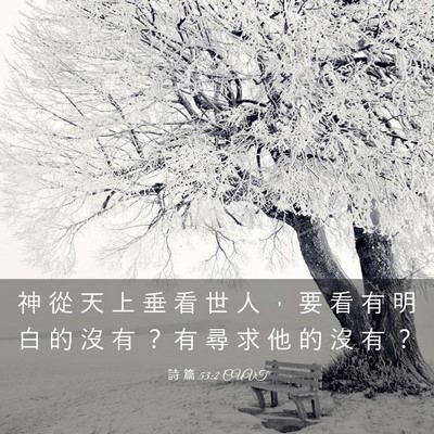 Picture 03 - 詩 篇 53:2 CUVT - 神 從 天 上 垂 看 世 人 ， 要 看 有 - Bible Verse Picture