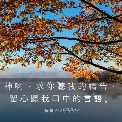 Picture 03 - 詩 篇 54:2 CUVT - 神 啊 ， 求 你 聽 我 的 禱 告 ， 留 - Bible Verse Picture