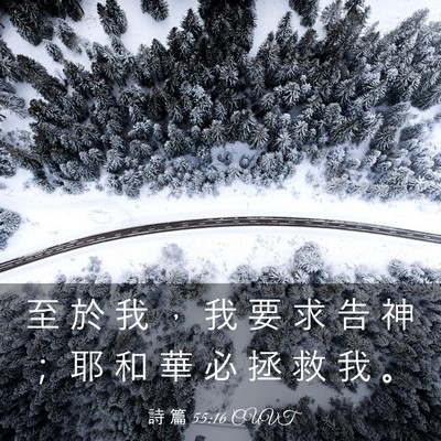 Picture 03 - 詩 篇 55:16 CUVT - 至 於 我 ， 我 要 求 告 神 ； 耶 和 - Bible Verse Picture