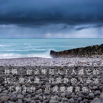 Picture 03 - 詩 篇 55:23 CUVT - 神 啊 ， 你 必 使 惡 人 下 入 滅 亡 - Bible Verse Picture