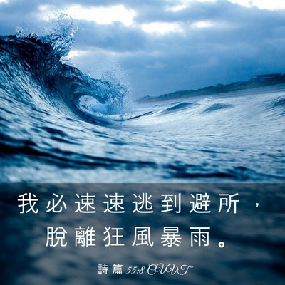 Picture 03 - 詩 篇 55:8 CUVT - 我 必 速 速 逃 到 避 所 ， 脫 離 狂 - Bible Verse Picture