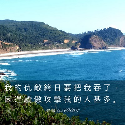 Picture 03 - 詩 篇 56:2 CUVT - 我 的 仇 敵 終 日 要 把 我 吞 了 ， - Bible Verse Picture