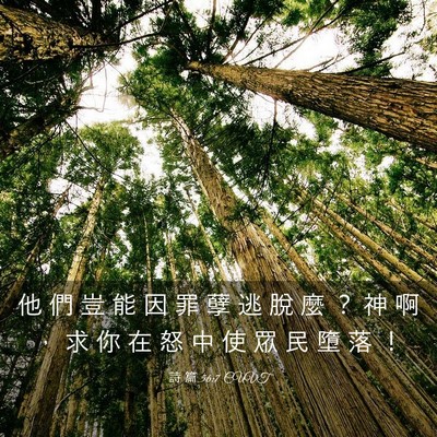 Picture 03 - 詩 篇 56:7 CUVT - 他 們 豈 能 因 罪 孽 逃 脫 麼 ？ 神 - Bible Verse Picture