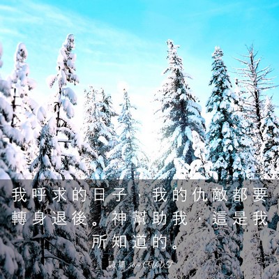 Picture 03 - 詩 篇 56:9 CUVT - 我 呼 求 的 日 子 ， 我 的 仇 敵 都 - Bible Verse Picture