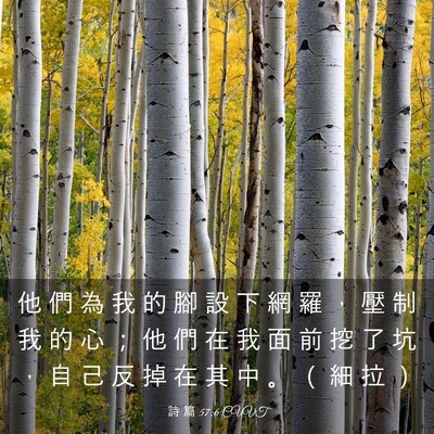 Picture 03 - 詩 篇 57:6 CUVT - 他 們 為 我 的 腳 設 下 網 羅 ， 壓 - Bible Verse Picture