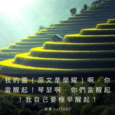 Picture 03 - 詩 篇 57:8 CUVT - 我 的 靈 （ 原 文 是 榮 耀 ） 啊 ， - Bible Verse Picture