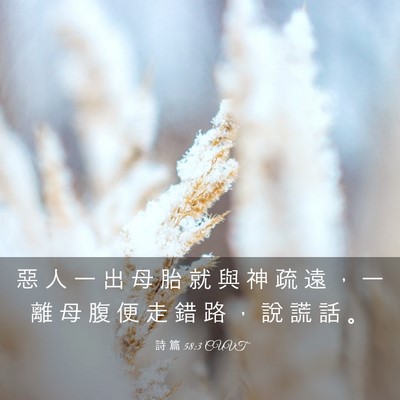 Picture 03 - 詩 篇 58:3 CUVT - 惡 人 一 出 母 胎 就 與 神 疏 遠 ， - Bible Verse Picture