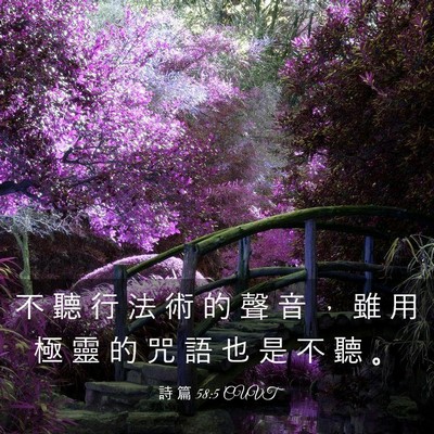 Picture 03 - 詩 篇 58:5 CUVT - 不 聽 行 法 術 的 聲 音 ， 雖 用 極 - Bible Verse Picture