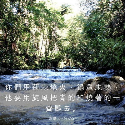 Picture 03 - 詩 篇 58:9 CUVT - 你 們 用 荊 棘 燒 火 ， 鍋 還 未 熱 - Bible Verse Picture