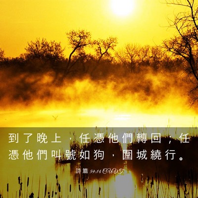Picture 03 - 詩 篇 59:14 CUVT - 到 了 晚 上 ， 任 憑 他 們 轉 回 ； - Bible Verse Picture