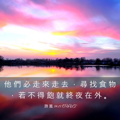 Picture 03 - 詩 篇 59:15 CUVT - 他 們 必 走 來 走 去 ， 尋 找 食 物 - Bible Verse Picture