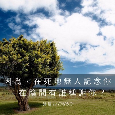 Picture 03 - 詩 篇 6:5 CUVT - 因 為 ， 在 死 地 無 人 記 念 你 ， - Bible Verse Picture