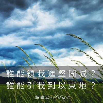 Picture 03 - 詩 篇 60:9 CUVT - 誰 能 領 我 進 堅 固 城 ？ 誰 能 引 - Bible Verse Picture