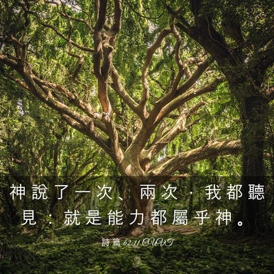 Picture 03 - 詩 篇 62:11 CUVT - 神 說 了 一 次 、 兩 次 ， 我 都 聽 - Bible Verse Picture