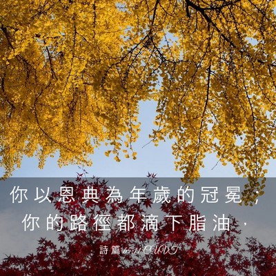 Picture 03 - 詩 篇 65:11 CUVT - 你 以 恩 典 為 年 歲 的 冠 冕 ； 你 - Bible Verse Picture