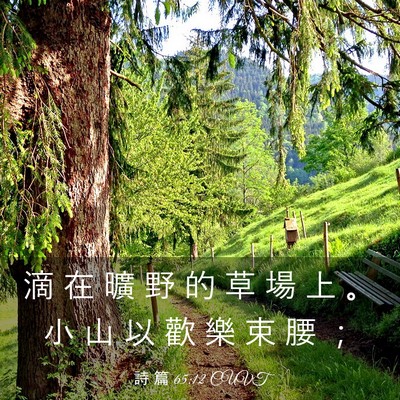 Picture 03 - 詩 篇 65:12 CUVT - 滴 在 曠 野 的 草 場 上 。 小 山 以 - Bible Verse Picture