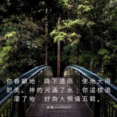 Picture 03 - 詩 篇 65:9 CUVT - 你 眷 顧 地 ， 降 下 透 雨 ， 使 地 - Bible Verse Picture