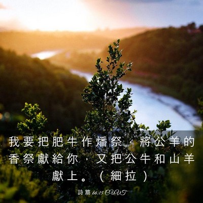 Picture 03 - 詩 篇 66:15 CUVT - 我 要 把 肥 牛 作 燔 祭 ， 將 公 羊 - Bible Verse Picture