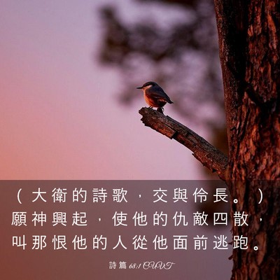 Picture 03 - 詩 篇 68:1 CUVT - （ 大 衛 的 詩 歌 ， 交 與 伶 長 。 - Bible Verse Picture