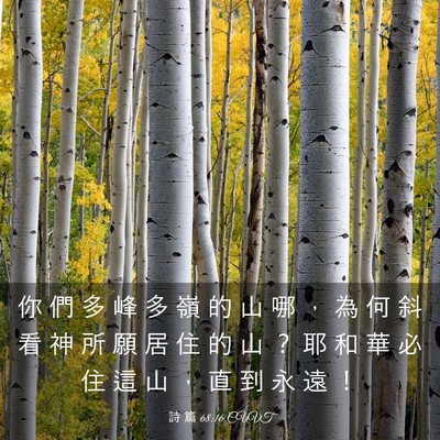 Picture 03 - 詩 篇 68:16 CUVT - 你 們 多 峰 多 嶺 的 山 哪 ， 為 何 - Bible Verse Picture