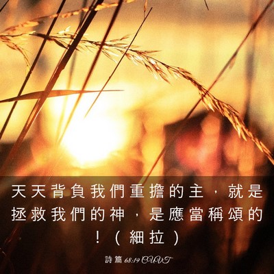 Picture 03 - 詩 篇 68:19 CUVT - 天 天 背 負 我 們 重 擔 的 主 ， 就 - Bible Verse Picture