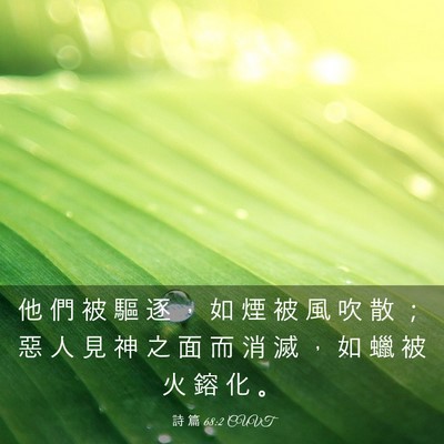 Picture 03 - 詩 篇 68:2 CUVT - 他 們 被 驅 逐 ， 如 煙 被 風 吹 散 - Bible Verse Picture