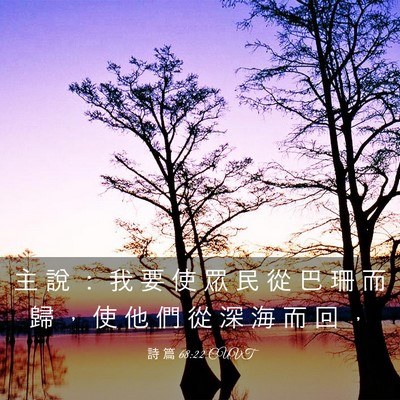 Picture 03 - 詩 篇 68:22 CUVT - 主 說 ： 我 要 使 眾 民 從 巴 珊 而 - Bible Verse Picture