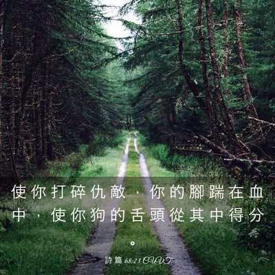 Picture 03 - 詩 篇 68:23 CUVT - 使 你 打 碎 仇 敵 ， 你 的 腳 踹 在 - Bible Verse Picture