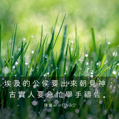 Picture 03 - 詩 篇 68:31 CUVT - 埃 及 的 公 侯 要 出 來 朝 見 神 ； - Bible Verse Picture