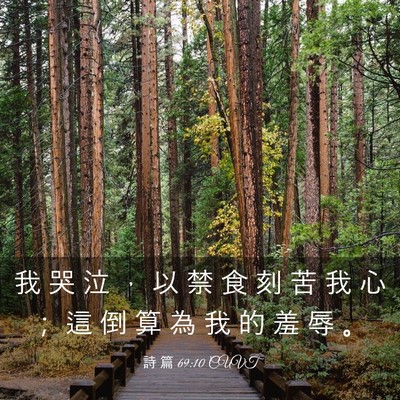 Picture 03 - 詩 篇 69:10 CUVT - 我 哭 泣 ， 以 禁 食 刻 苦 我 心 ； - Bible Verse Picture