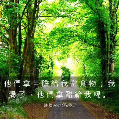 Picture 03 - 詩 篇 69:21 CUVT - 他 們 拿 苦 膽 給 我 當 食 物 ； 我 - Bible Verse Picture