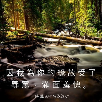 Picture 03 - 詩 篇 69:7 CUVT - 因 我 為 你 的 緣 故 受 了 辱 罵 ， - Bible Verse Picture
